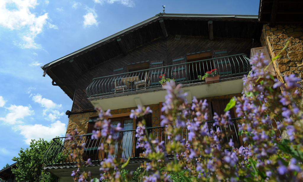 Chalet Genepi Montriond Ngoại thất bức ảnh