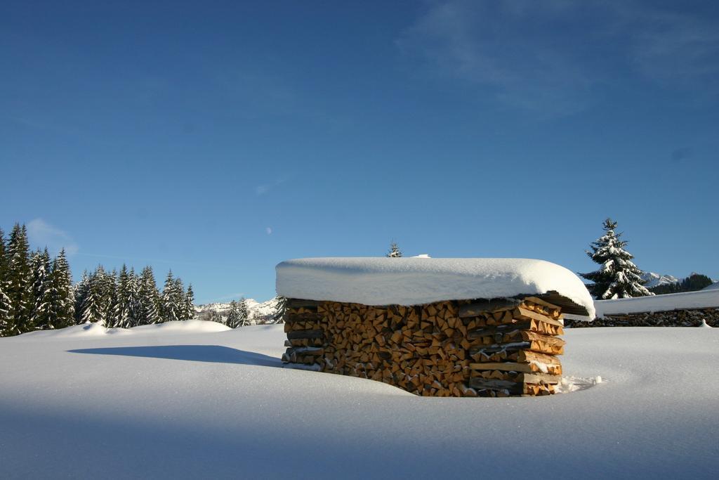 Chalet Genepi Montriond Ngoại thất bức ảnh