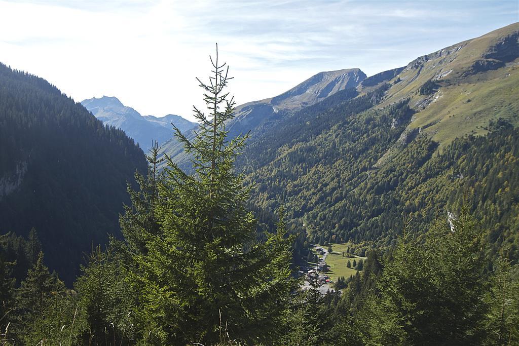 Chalet Genepi Montriond Ngoại thất bức ảnh